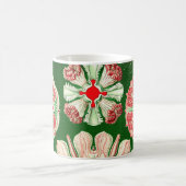 Mug Ernst Haeckel Discomedusae (Aurelia) (Centre)
