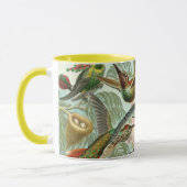 Mug Ernst Haeckel Hummingbirds - Art Formes de la natu (Gauche)