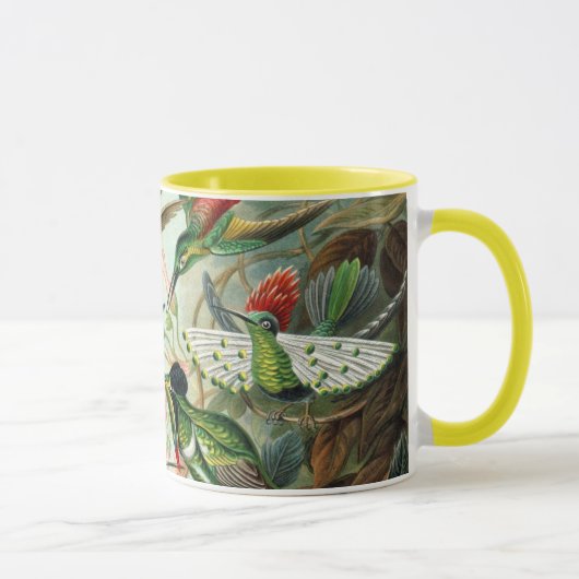 Mug Ernst Haeckel Hummingbirds - Art Formes de la natu (Droite)