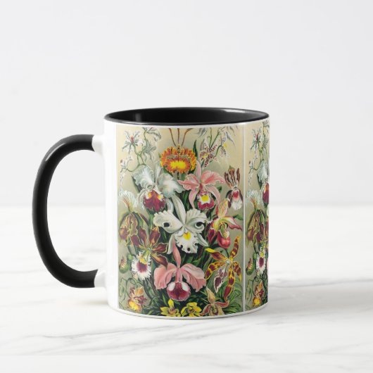 Mug Ernst Haeckel - Orchidées (Gauche)