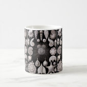 Mug Ernst Haeckel Thalamophora I (Centre)