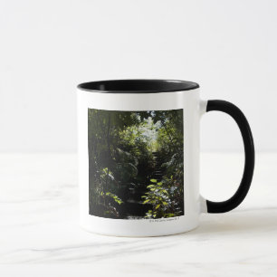 Mug Escalier/sentier piéton rustiques dans la forêt,