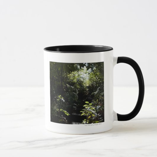 Mug Escalier/sentier piéton rustiques dans la forêt, (Droite)