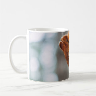 MUG ESCALIER SUR TRONC D'ARBRE
