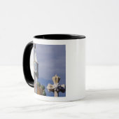 Mug Espagne, Catalogne, Barcelone. Casa Batllo (1906). (Devant gauche)