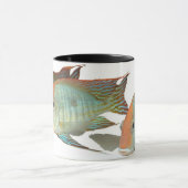 Mug Espèces "tête orange de Geophagus de Tapajos " (Centre)