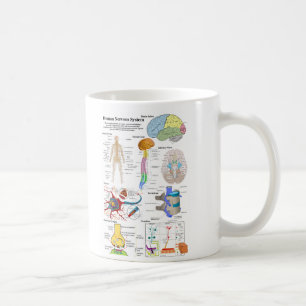 Mug Esprit humain et diagramme de système nerveux