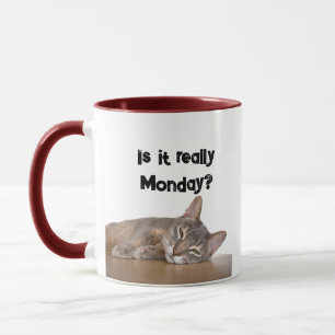 Mug Est-Ce Vraiment Lundi ? Mème de chat Abyssinien dr