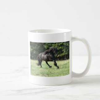 Mug Est tombé l'étalon de poney