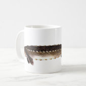 Mug Esturgeon de Shortnose - brevirostrum d'Acipenser (Devant gauche)