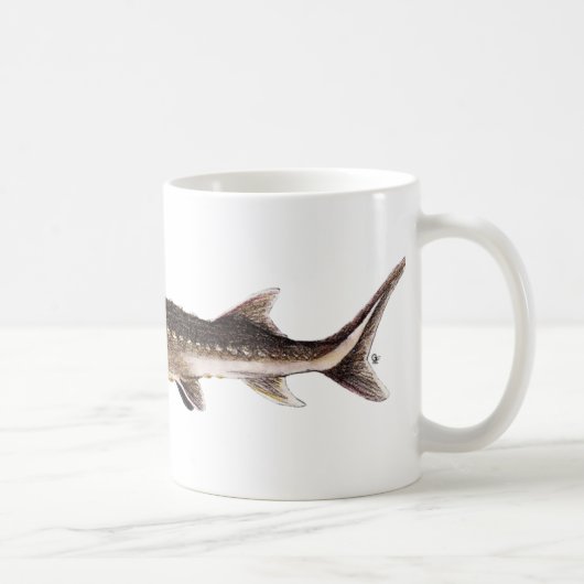 Mug Esturgeon de Shortnose - brevirostrum d'Acipenser (Droite)