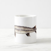 Mug Esturgeon pâlot - albus de Scaphirhynchus (Centre)