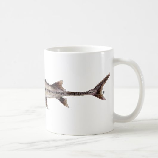 Mug Esturgeon pâlot - albus de Scaphirhynchus (Droite)