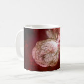 Mug Eta Carinae Super Massive Star (Devant gauche)