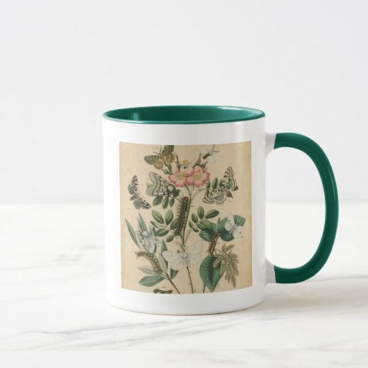 Mug Étapes de la vie des papillons par Vision Studio (Droite)