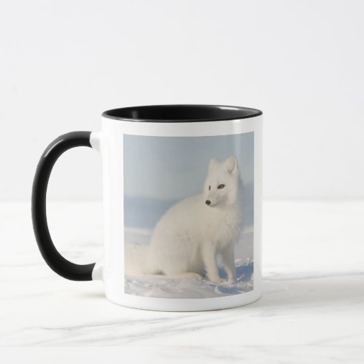 Mug États-Unis, Alaska, 1002 Plaine côtière de l'Arcti (Gauche)