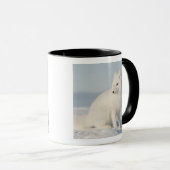 Mug États-Unis, Alaska, 1002 Plaine côtière de l'Arcti (Devant droit)