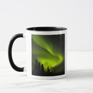 Mug États-Unis, Alaska, Chena Hot Springs. Aurora Bore