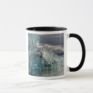 Mug États-Unis, Alaska, forêt nationale de Tongass, Tr