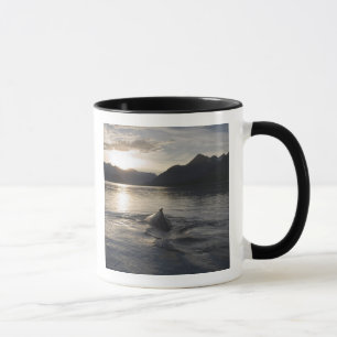 Mug États-Unis, Alaska, Parc national de Glacier Bay,