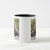 Mug États-Unis, Alaska, Parc national de Katmai, baie  (Centre)