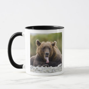 Mug États-Unis, Alaska, Parc national de Katmai, baie