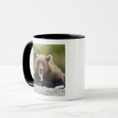 Mug États-Unis, Alaska, Parc national de Katmai, baie  (Devant gauche)