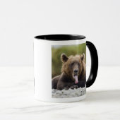 Mug États-Unis, Alaska, Parc national de Katmai, baie  (Devant droit)