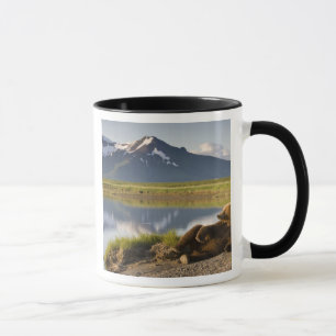 Mug États-Unis, Alaska, Parc national de Katmai, Ours 