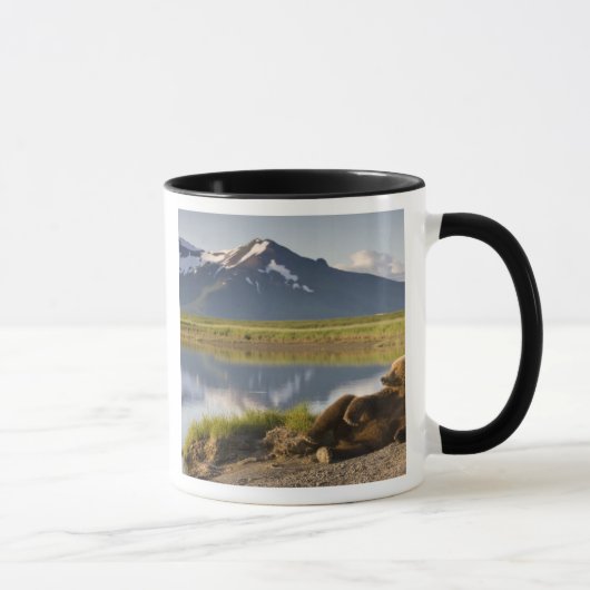 Mug États-Unis, Alaska, Parc national de Katmai, Ours  (Droite)