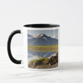 Mug États-Unis, Alaska, Parc national de Katmai, Ours  (Gauche)