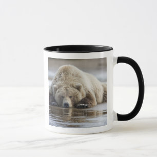 Mug États-Unis, Alaska, Parc national de Katmai, Ours