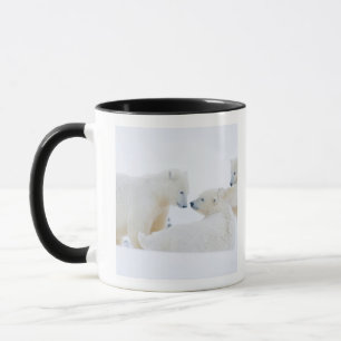 Mug États-Unis, Alaska, plaine côtière de l'Arctique 1