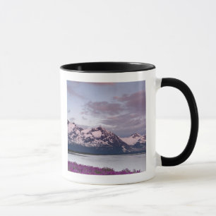 Mug États-Unis, Alaska, vallée de la rivière Alsek. Vu