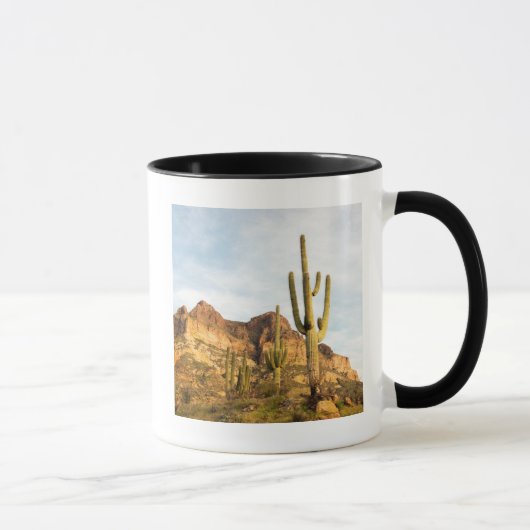 Mug États-Unis, Arizona, Tonto National Forest, Picket (Droite)