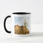 Mug États-Unis, Arizona, Tonto National Forest, Picket (Gauche)