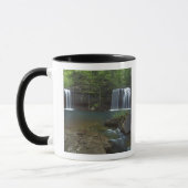 Mug États-Unis, Arkansas, Ozark-St Francis National (Gauche)