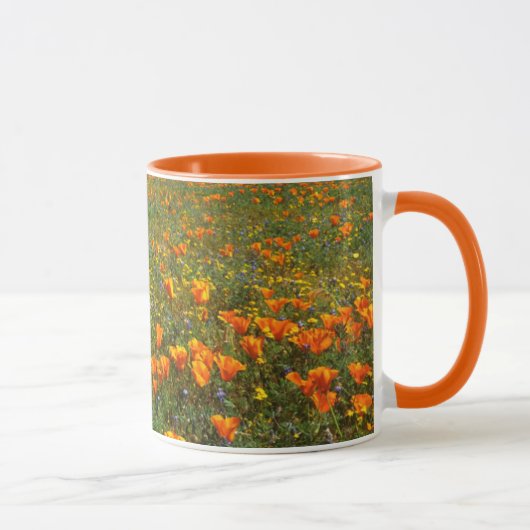 Mug États-Unis, Californie, Antelope Valley, Californi (Droite)