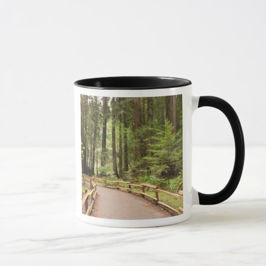 Mug États-Unis, Californie, comté de Marin, Muir Woods (Droite)