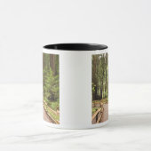 Mug États-Unis, Californie, comté de Marin, Muir Woods (Centre)