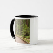 Mug États-Unis, Californie, comté de Marin, Muir Woods (Devant gauche)