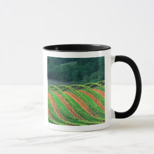 Mug États-Unis, Californie, comté de Mendocino, en tre