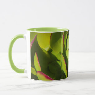 Mug États-Unis, Californie. Fermeture du Plante géant
