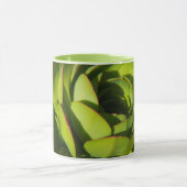 Mug États-Unis, Californie. Fermeture du Plante géant  (Centre)