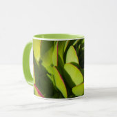 Mug États-Unis, Californie. Fermeture du Plante géant  (Devant gauche)