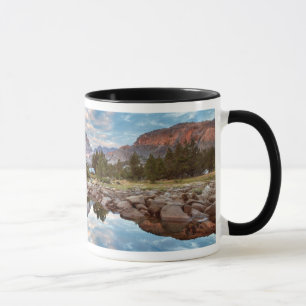 Mug États-Unis, Californie, Forêt nationale d'Inyo 15