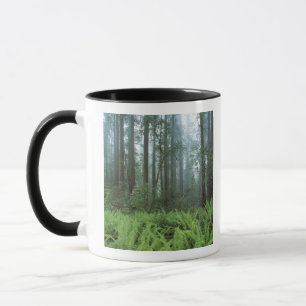 Mug États-Unis, Californie, Parc national de Redwood.