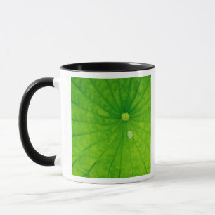 Mug États-Unis; Caroline du Nord; Feuille de lotus ave