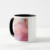 Mug États-Unis, Caroline du Nord. Rhododendron de Cata (Devant gauche)