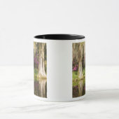 Mug États-Unis, Caroline du Sud, Charleston. Cyprès (Centre)